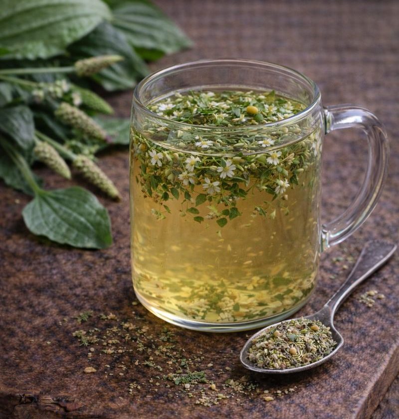 Weegbree-hoestverlichtende thee